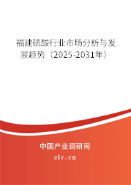 福建硫酸行業(yè)市場分析與發(fā)展趨勢（2025-2031年）