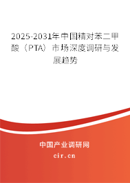 2025-2031年中國精對苯二甲酸（PTA）市場深度調(diào)研與發(fā)展趨勢