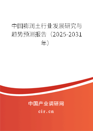 中國膨潤土行業(yè)發(fā)展研究與趨勢預(yù)測報(bào)告（2025-2031年）