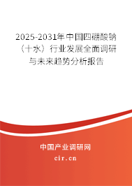 2025-2031年中國四硼酸鈉（十水）行業(yè)發(fā)展全面調研與未來趨勢分析報告