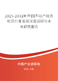 2025-2031年中國(guó)不動(dòng)產(chǎn)融資租賃行業(yè)發(fā)展深度調(diào)研與未來(lái)趨勢(shì)報(bào)告