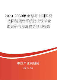 2024-2030年全球與中國風能-太陽能混合系統(tǒng)行業(yè)現(xiàn)狀全面調研與發(fā)展趨勢預測報告
