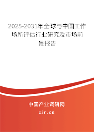 2025-2031年全球與中國工作場所評估行業(yè)研究及市場前景報告 2025-2031年全球與中國工作場所評估行業(yè)研究及市場前景報告