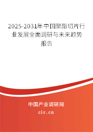 2025-2031年中國聚酯切片行業(yè)發(fā)展全面調(diào)研與未來趨勢報告