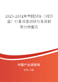 2025-2031年中國STB(機頂盒)行業(yè)深度調(diào)研與發(fā)展趨勢分析報告 2025-2031年中國STB(機頂盒)行業(yè)深度調(diào)研與發(fā)展趨勢分析報告