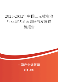2025-2031年中國(guó)三元鋰電池行業(yè)現(xiàn)狀全面調(diào)研與發(fā)展趨勢(shì)報(bào)告
