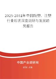 2025-2031年中國(guó)吸塑、注塑行業(yè)現(xiàn)狀深度調(diào)研與發(fā)展趨勢(shì)報(bào)告
