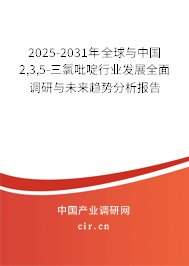2025-2031年全球與中國2,3,5-三氯吡啶行業(yè)發(fā)展全面調研與未來趨勢分析報告