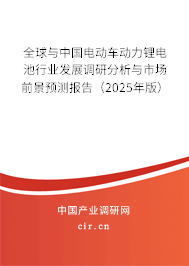 全球與中國(guó)電動(dòng)車動(dòng)力鋰電池行業(yè)發(fā)展調(diào)研分析與市場(chǎng)前景預(yù)測(cè)報(bào)告（2025年版）