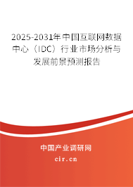 2025-2031年中國(guó)互聯(lián)網(wǎng)數(shù)據(jù)中心（IDC）行業(yè)市場(chǎng)分析與發(fā)展前景預(yù)測(cè)報(bào)告