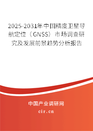 2025-2031年中國精度衛(wèi)星導航定位（GNSS）市場調(diào)查研究及發(fā)展前景趨勢分析報告
