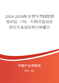 2024-2030年全球與中國(guó)聚酰胺樹(shù)脂（PA）市場(chǎng)深度調(diào)查研究與發(fā)展前景分析報(bào)告