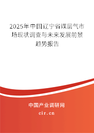 2025年中國遼寧省煤層氣市場現(xiàn)狀調(diào)查與未來發(fā)展前景趨勢報告 2025年中國遼寧省煤層氣市場現(xiàn)狀調(diào)查與未來發(fā)展前景趨勢報告