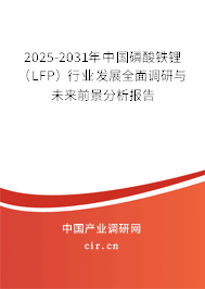 2025-2031年中國(guó)磷酸鐵鋰（LFP）行業(yè)發(fā)展全面調(diào)研與未來(lái)前景分析報(bào)告