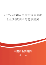 2025-2031年中國鋁箔玻璃棉行業(yè)現狀調研與前景趨勢