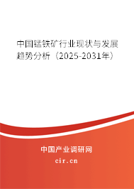 中國(guó)錳鐵礦行業(yè)現(xiàn)狀與發(fā)展趨勢(shì)分析（2025-2031年）