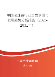 中國泡沫鋁行業(yè)全面調研與發(fā)展趨勢分析報告(2025-2031年) 中國泡沫鋁行業(yè)全面調研與發(fā)展趨勢分析報告(2025-2031年)
