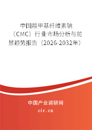 中國(guó)羧甲基纖維素鈉（CMC）行業(yè)市場(chǎng)分析與前景趨勢(shì)報(bào)告（2026-2032年）
