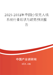 2025-2031年中國(guó)小型無人機(jī)系統(tǒng)行業(yè)現(xiàn)狀與趨勢(shì)預(yù)測(cè)報(bào)告