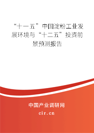 “十一五”中國淀粉工業(yè)發(fā)展環(huán)境與“十二五”投資前景預(yù)測報告