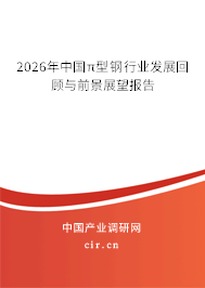 2026年中國π型鋼行業(yè)發(fā)展回顧與前景展望報告 2026年中國π型鋼行業(yè)發(fā)展回顧與前景展望報告