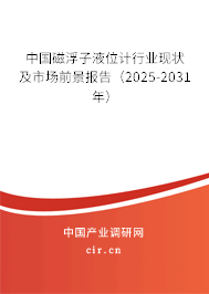 中國磁浮子液位計(jì)行業(yè)現(xiàn)狀及市場前景報(bào)告（2025-2031年）