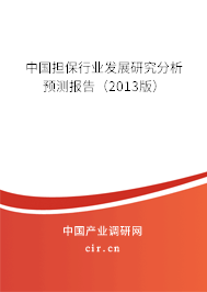 中國擔(dān)保行業(yè)發(fā)展研究分析預(yù)測報(bào)告（2013版）