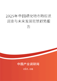 2025年中國磺化物市場現(xiàn)狀調(diào)查與未來發(fā)展前景趨勢報告