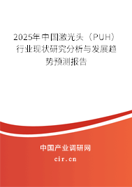 2025年中國激光頭（PUH）行業(yè)現(xiàn)狀研究分析與發(fā)展趨勢(shì)預(yù)測(cè)報(bào)告