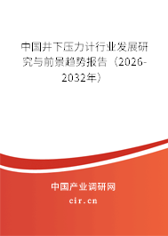 中國井下壓力計行業(yè)發(fā)展研究與前景趨勢報告（2026-2032年）