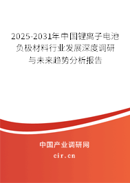 2025-2031年中國鋰離子電池負極材料行業(yè)發(fā)展深度調(diào)研與未來趨勢分析報告