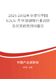 2025-2031年全球與中國N,N,N-三甲基硼嗪行業(yè)調(diào)研及前景趨勢預(yù)測報(bào)告