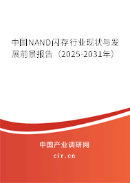 中國NAND閃存行業(yè)現(xiàn)狀與發(fā)展前景報(bào)告（2025-2031年）