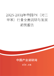 2025-2031年中國PX（對(duì)二甲苯）行業(yè)全面調(diào)研與發(fā)展趨勢(shì)報(bào)告