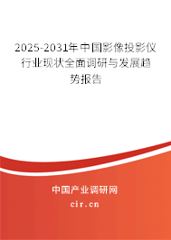 2025-2031年中國影像投影儀行業(yè)現(xiàn)狀全面調研與發(fā)展趨勢報告