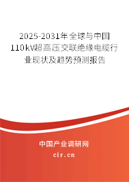 2025-2031年全球與中國110kV超高壓交聯(lián)絕緣電纜行業(yè)現(xiàn)狀及趨勢(shì)預(yù)測(cè)報(bào)告