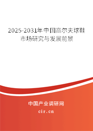 2025-2031年中國高爾夫球鞋市場研究與發(fā)展前景 2025-2031年中國高爾夫球鞋市場研究與發(fā)展前景