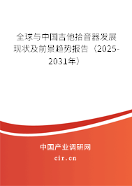 全球與中國吉他拾音器發(fā)展現(xiàn)狀及前景趨勢報告（2025-2031年）
