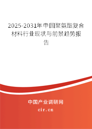 2024-2030年中國聚氨酯復合材料行業(yè)現(xiàn)狀與前景趨勢報告