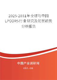 2025-2031年全球與中國LPDDR5行業(yè)研究及前景趨勢分析報告 2025-2031年全球與中國LPDDR5行業(yè)研究及前景趨勢分析報告