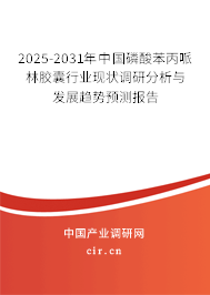 2025-2031年中國磷酸苯丙哌林膠囊行業(yè)現(xiàn)狀調(diào)研分析與發(fā)展趨勢預(yù)測報(bào)告