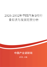 2026-2032年中國(guó)汽車B柱行業(yè)現(xiàn)狀與發(fā)展前景分析