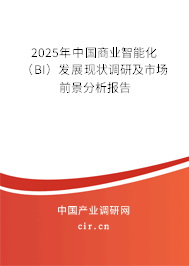 2025年中國商業(yè)智能化（BI）發(fā)展現(xiàn)狀調(diào)研及市場前景分析報告