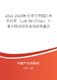 2022-2028年全球與中國(guó)芯片實(shí)驗(yàn)室（Lab On Chips）行業(yè)市場(chǎng)調(diào)研及發(fā)展趨勢(shì)報(bào)告