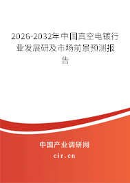 2026-2032年中國真空電鍍行業(yè)發(fā)展研及市場前景預(yù)測報(bào)告