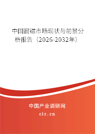 中國窗磁市場現(xiàn)狀與前景分析報告(2026-2032年) 中國窗磁市場現(xiàn)狀與前景分析報告(2026-2032年)