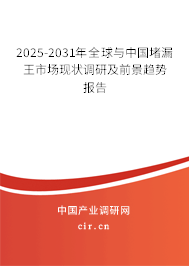 2025-2031年全球與中國堵漏王市場現狀調研及前景趨勢報告