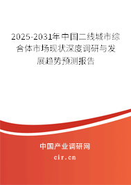 2025-2031年中國二線城市綜合體市場(chǎng)現(xiàn)狀深度調(diào)研與發(fā)展趨勢(shì)預(yù)測(cè)報(bào)告