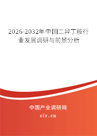 2026-2032年中國二異丁胺行業(yè)發(fā)展調(diào)研與前景分析