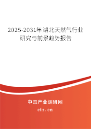 2025-2031年湖北天然氣行業(yè)研究與前景趨勢(shì)報(bào)告